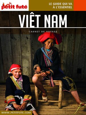 cover image of VIETNAM 2020 Carnet Petit Futé